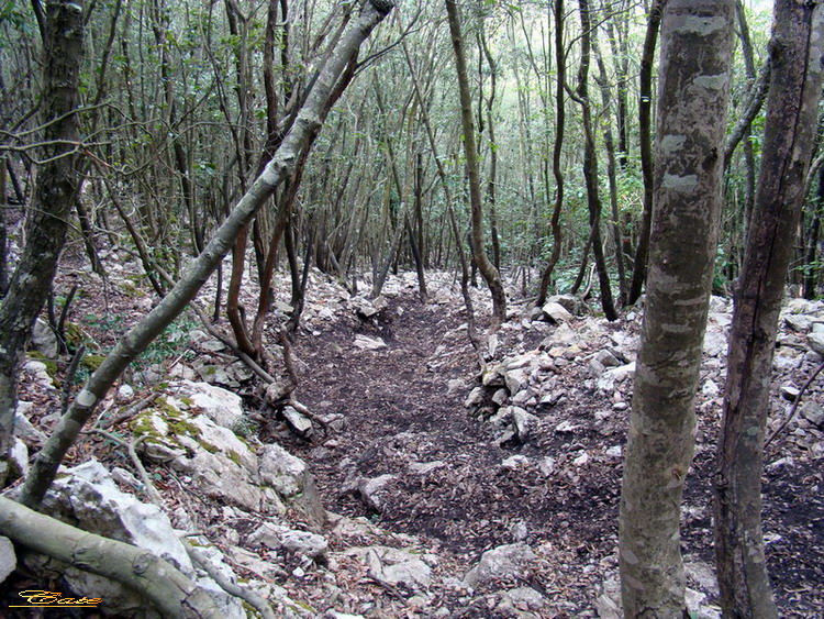 Alla conquista della vetta di Monte Circeo